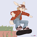 [C] Nik Skateboarder Bun