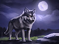 Wolf speedpaint