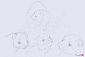 Mustelid Practice Sketches