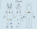 Chase Marin wolf fursuit