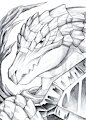 Reptilian Warrior