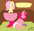 Pony Playtime
