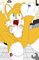 Tails and his Small Playmates