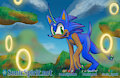 Pony Me