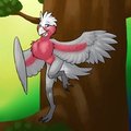 Libby the Galah