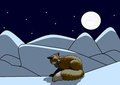 Lonely fox by canismors