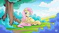Fluttershy Lounge