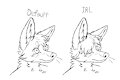 yote hair