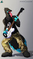 I Play Guitar