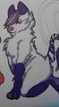 Reference of My Character by SirNom