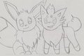 Zorua & Eevee WIP