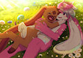 [C] Zinnia