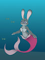Sea rabbit