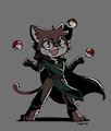 New Challenger the Magic Cat