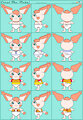 Coral Pichu Model Sheet