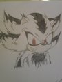 Rage the Hedgehog