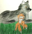 Tails and a wolf