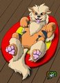 Pet Muh Belly, Do it NOW!