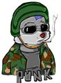 Punk Wolf 