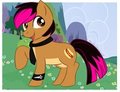Pony Alex