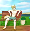 Trashwolf in the sun by Trashy
