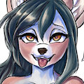 fox sketch by Kayodebyte