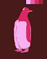 Gentoo penguin