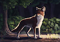 Dhole by WerewolfDegenerate