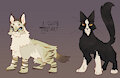 Ash Clan Leader and Medicine Cat by Flipside
