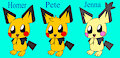The Pichu siblings
