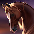 Drawing Horses From My Imagination (Part 2)