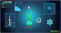 Updated Databank-- Beryl Onion
