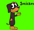 snickers from bluey