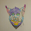 Seb by Seblynx