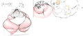Sumo Ballons part 9