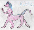 Cassy's Critter Contest Submission