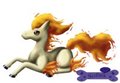 Ponyta