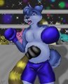 Hals boxing match Round 3
