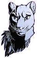 Sketched Bust Comish - Cat Noir