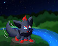 Illusion of the Night