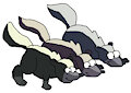 Three Skunks