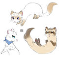 Ferret sketch warm ups