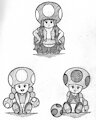 Toad Trio