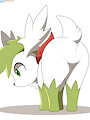 Shaymin by WinickLim