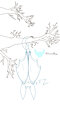 🧊Line Wip Art - Eepy Dragon by ElementerDragon