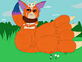 Macro giant Gnar 1