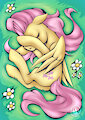 Fluttershy Sleep