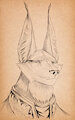 Bureau's Profile - Lord Vangria