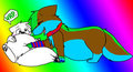 Soft Belly by Bibu