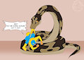 Put Me Down, Kodum!